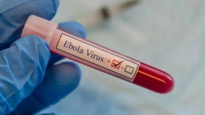 Impegno totale per combattere l'epidemia di Ebola.