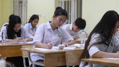 Soluciones sugeridas para el examen de matemáticas: Mejorar la capacidad de aplicar los conocimientos a situaciones prácticas.