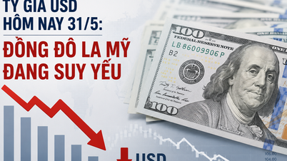 Tasso di cambio USD oggi, 31 maggio: il dollaro statunitense si sta indebolendo.