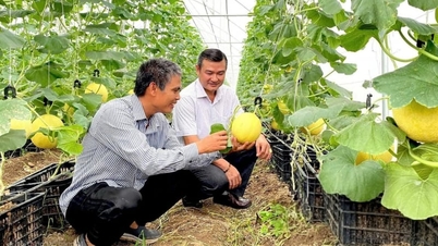 A Dong Nai bővíti high-tech mezőgazdasági ökoszisztémáját.