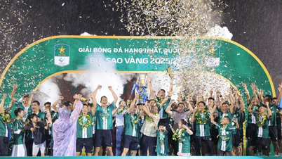 Bintang-bintang bersinar yang memimpin Truong Tuoi Dong Nai ke Liga V.