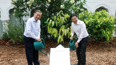 General Secretary and President To Lam plants a tree in Singapore's famous garden.