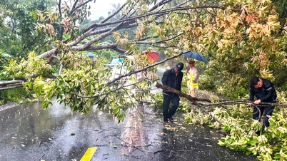 Heavy rain caused trees to fall, blocking the Ngoan Muc mountain pass.