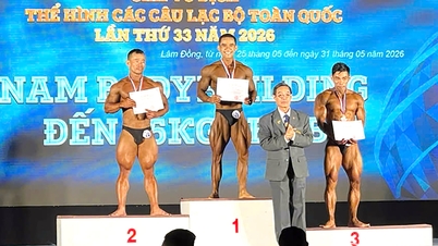 Đồng Nai giành 3 huy chương vàng, hạng tư toàn đoàn Giải vô địch Thể hình toàn quốc