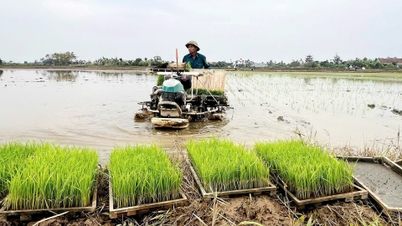 La mécanisation ouvre la voie à une production à grande échelle à Yiyang.
