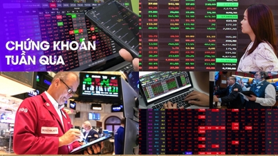 De VN-index verliest momentum: toonaangevende aandelen verzwakken, niche-aandelen doorstaan ​​de storm nog enigszins.