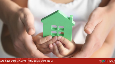 Chống bạo hành trẻ em - Đừng để quá muộn!