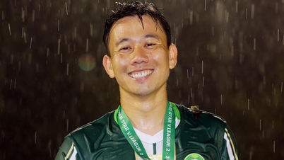 En lykkelig slutt for 'bầu Đứcs barn'