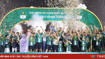 Nach dem Gewinn der Meisterschaft in der First Division stieg Truong Tuoi Dong Nai aufgrund eigener Leistung in die V.League auf.
