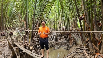 Bagaimanakah seorang lelaki dari Bandar Raya Ho Chi Minh membawa madu dari hutan bakau Can Gio untuk memenangi hati pengguna Amerika?
