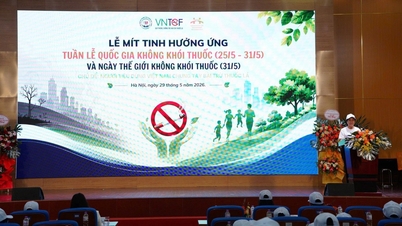 Verbreitung der Botschaft des Rauchens im universitären Umfeld.