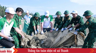 “Green Nghi Son” 2026: Nearly 1,000 people join hands to clean up the beach.