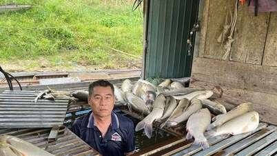 Moria di pesci sul fiume: risultati delle analisi dei campioni d'acqua.