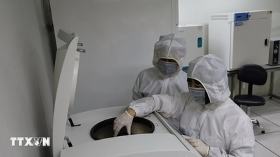 Das Ministerium für Wissenschaft und Technologie genehmigt das Programm zur Förderung herausragender Doktoranden.