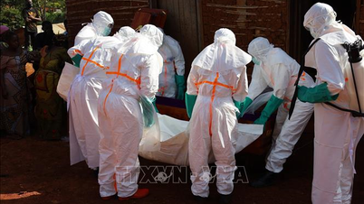 Wabak Ebola: WHO menyeru peningkatan sokongan antarabangsa.