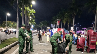 Da Nang lança campanha para limpar o ambiente urbano e eliminar completamente o lixo acumulado.