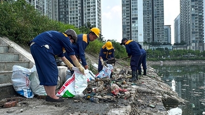 Cầu Giấy: Tổng lực "giải cứu" hồ Công viên CV1 khỏi sự cố cá chết dạt bờ