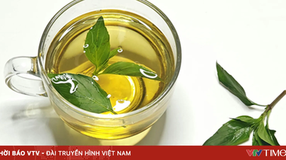 Groene drankjes gemaakt van bladeren - een nieuwe wellness-trend?