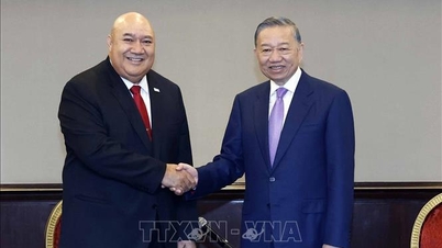 เลขาธิการและประธานาธิบดีของเวียดนามให้การต้อนรับผู้อำนวยการองค์การอนามัยโลกประจำภูมิภาคแปซิฟิกตะวันตก