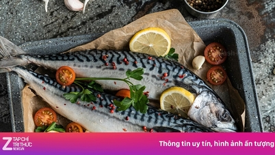 Certains types de poissons peuvent contenir des niveaux élevés de mercure et de métaux lourds.