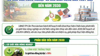 Targets for developing agricultural mechanization and processing of agricultural, forestry, and aquatic products by 2030