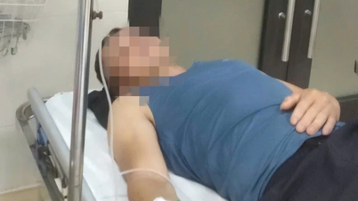 أُصيب ستة أشخاص في ثانه هوا بتسمم غذائي بعد تناولهم حشرات كريهة الرائحة.
