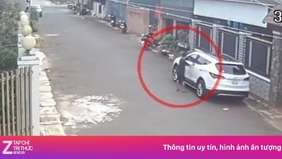 कार में चाबियां भूल जाने के बाद, कार मालिक उस समय भयभीत हो गया जब एक 12 वर्षीय लड़का कार चलाकर ले गया।