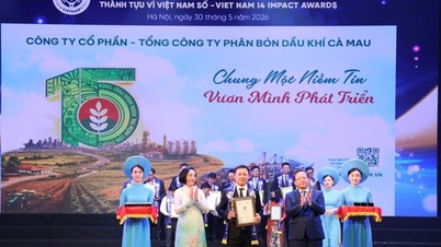 PVCFC៖ ទទួលបានកិត្តិយសក្នុង 3 ប្រភេទនៅក្នុងពានរង្វាន់ Vietnam I4 Impact Awards 2026