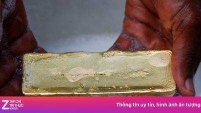 មាស​ដែល​ជីក​យក​ដោយ​ខុសច្បាប់​តម្លៃ​រាប់​ពាន់​លាន​ដុល្លារ​កំពុង​ត្រូវ​បាន​នាំចេញ​ពី​ព្រៃ​អាម៉ាហ្សូន។