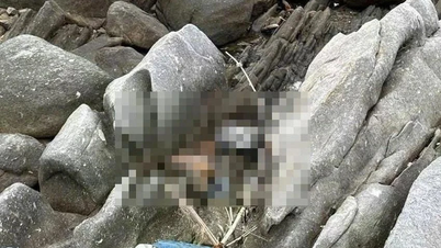 Restos mortais foram descobertos em um afloramento rochoso na costa de Khanh Hoa.