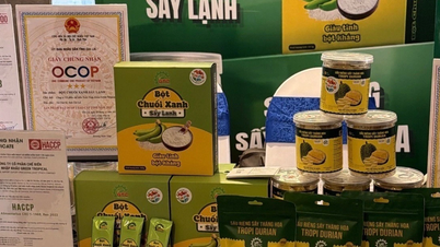 O conjunto de critérios de produto OCOP inclui três seções de avaliação e novos limites de classificação.
