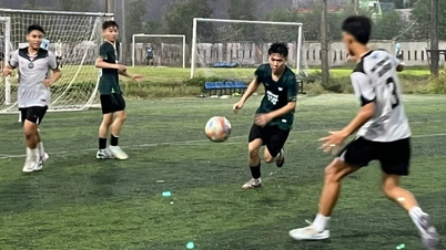 Turnamen Sepak Bola Remaja SMA Provinsi Gia Lai 2026 dimulai.