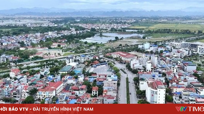 Komune Van Dinh: Perubahan positif yang berasal dari ekonomi rumah tangga pertanian.