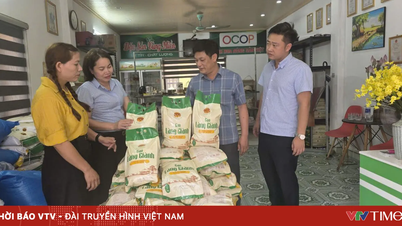 Komune Phu Duc (provinsi Hung Yen) sedang mempromosikan pengembangan produk OCOP, meningkatkan nilai produk pertanian lokal.