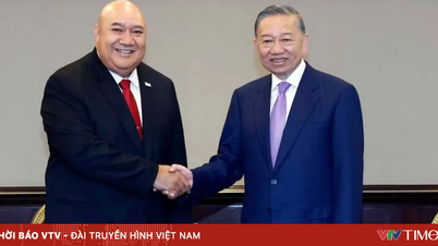 WHO: Vietnam se aktivně stará o zdraví svých obyvatel.