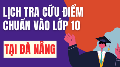 Il calendario per l'annuncio dei punteggi minimi di ammissione al decimo anno scolastico 2026-2027 a Da Nang è il seguente: