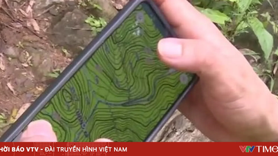 Phú Thọ: Tăng cường ứng dụng công nghệ trong công tác bảo vệ rừng