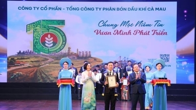 PVCFC ha ricevuto un ampio riconoscimento ai prestigiosi Vietnam I4 Impact Awards 2026.