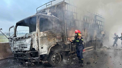Caminhão pega fogo em rodovia.