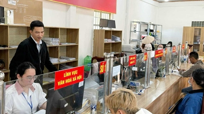 Eficacitatea modelului „Serviciul de miercuri” în Hiep Thanh.