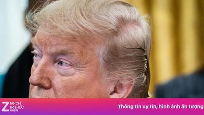 טראמפ מתכנן את אסטרטגיית ה"הגנה העצמית" שלו לאחר שעזב את הבית הלבן.