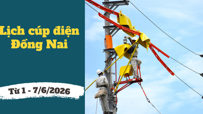 Dong Nai Elektrik Kesintisi Programı (1-7 Haziran 2026): Elektrik kesintilerinden etkilenecek yerleşim alanlarının güncellenmiş listesi.