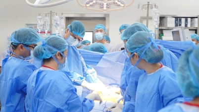 Åtgärda brister inom organtransplantation.
