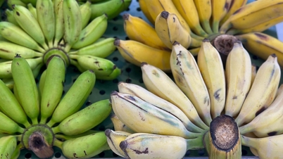 4 typer næringsrike frukter som er bra for helsen din når de spises hver dag.