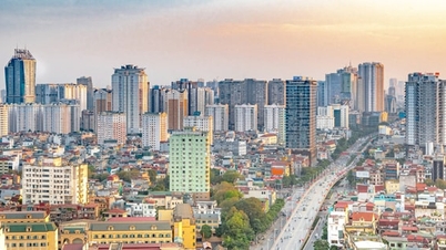 Pequeñas y medianas empresas inmobiliarias: