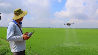Tam Nong: The 1 million hectare project and the shift in mindset on rice fields.