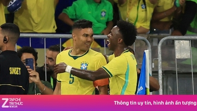 Casemiro terus menunjukkan performa gemilang saat bermain untuk tim nasional Brasil.