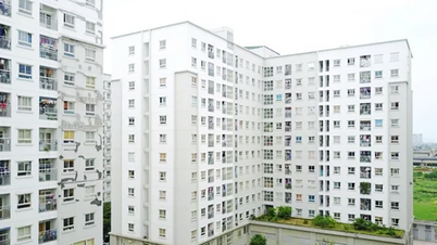Discuție despre modelul de funcționare al fondurilor locale pentru locuințe.