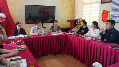 Eine Delegation der DIVA-Organisation aus Südkorea untersuchte die Trinkwasser- und Sanitärsituation in der Gemeinde Cao Loc.
