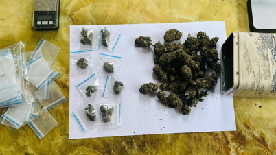Las autoridades arrestaron a un grupo de individuos que utilizaban la plataforma de redes sociales Telegram para comprar y vender marihuana.